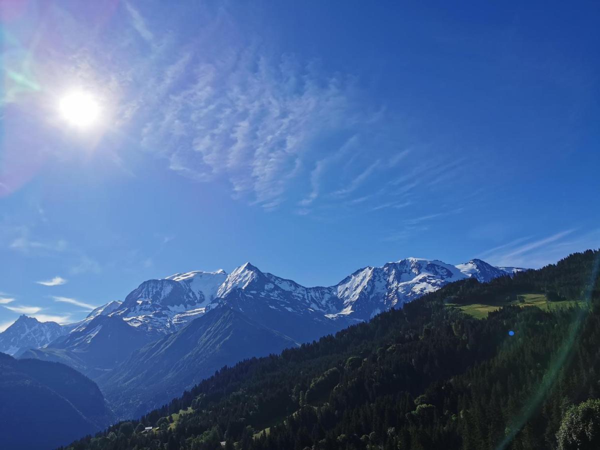 Apartamento Duo Des Alpages Vue Exceptionnelle Sur Le Mont Blc Saint-Gervais-les-Bains Exterior foto