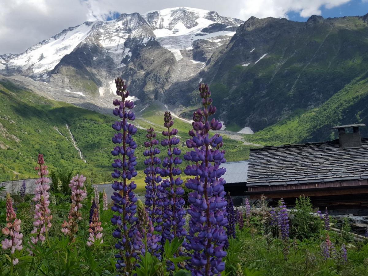 Apartamento Duo Des Alpages Vue Exceptionnelle Sur Le Mont Blc Saint-Gervais-les-Bains Exterior foto